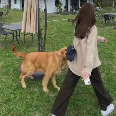 恶土